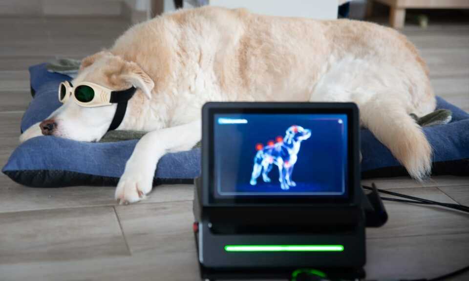 rehabilitacion y fisioterapia