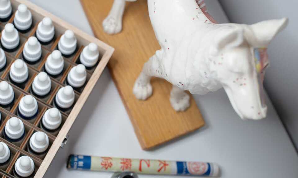 terapias integrativas